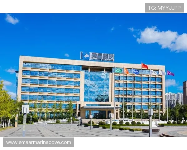 凯发集团网页版登录入口登录遇到问题怎么办,详细解决方案 凯发集团网页版登录入口登录遇到问题怎么办,详细解决方案